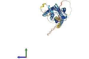 AlphaFold protein structure predicition of Human Recombinant GPR63 Protein, UniprotID Q9BZJ6