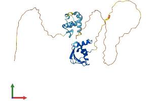 AlphaFold protein structure predicition of Human Recombinant EHF Protein, UniprotID Q9NZC4