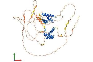 AlphaFold protein structure predicition of Human Recombinant POU3F3 Protein, UniprotID P20264