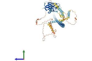 AlphaFold protein structure predicition of Mouse Recombinant Sun2 Protein, UniprotID Q8BJS4