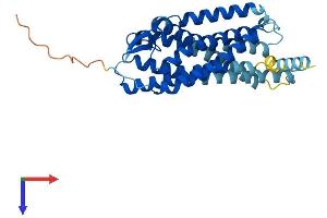 AlphaFold protein structure predicition of Human Recombinant P2RY6 Protein, UniprotID Q15077