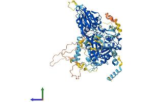 AlphaFold protein structure predicition of Human Recombinant FIG4 Protein, UniprotID Q92562