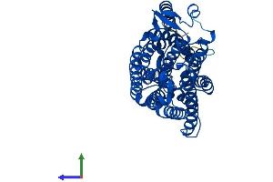 AlphaFold protein structure predicition of Mouse Recombinant Rhbg Protein, UniprotID Q8BUX5 (RHBG Protein (AA 1-455) (His tag))