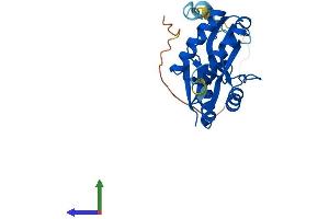 AlphaFold protein structure predicition of Human Recombinant USB1 Protein, UniprotID Q9BQ65