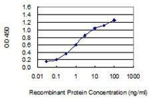 Detection limit for recombinant GST tagged PTPN14 is 0. (PTPN14 anticorps  (AA 303-412))