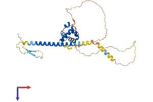 AlphaFold protein structure predicition of Human Recombinant SCML1 Protein, UniprotID Q9UN30