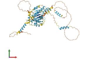 AlphaFold protein structure predicition of Human Recombinant DYNC1LI2 Protein, UniprotID O43237