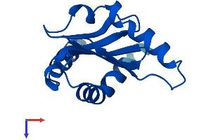 AlphaFold protein structure predicition of Human Recombinant LAMTOR3 Protein, UniprotID Q9UHA4