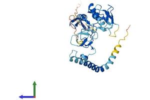 AlphaFold protein structure predicition of Mouse Recombinant Rnf144a Protein, UniprotID Q925F3