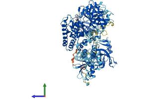 AlphaFold protein structure predicition of Mouse Recombinant Lig4 Protein, UniprotID Q8BTF7