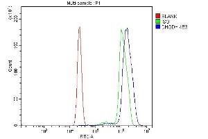 Flow Cytometry analysis of U937 cells using anti-DHODH antibody (ABIN7603140). (DHODH anticorps  (N-Term))