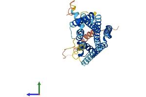 AlphaFold protein structure predicition of Human Recombinant MC4R Protein, UniprotID P32245