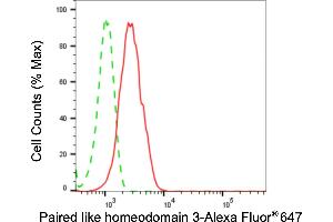 Flow cytometric analysis of paired like homeodomain 3 expression in HepG2 cells using paired like homeodomain 3 antibody (ABIN7799838), 1:2,000). (Recombinant PITX3 anticorps)