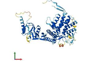 AlphaFold protein structure predicition of Mouse Recombinant Mkks Protein, UniprotID Q9JI70