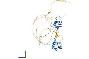 AlphaFold protein structure predicition of Human Recombinant SAMSN1 Protein, UniprotID Q9NSI8