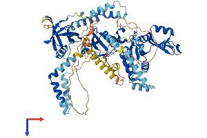 AlphaFold protein structure predicition of Mouse Recombinant Pals1 Protein, UniprotID Q9JLB2