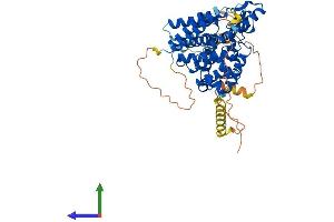 AlphaFold protein structure predicition of Mouse Recombinant Pde1b Protein, UniprotID Q01065