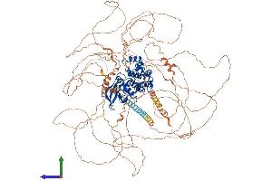 AlphaFold protein structure predicition of Human Recombinant TTBK1 Protein, UniprotID Q5TCY1