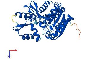 AlphaFold protein structure predicition of Mouse Recombinant Serhl Protein, UniprotID Q9EPB5