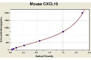 Diagramm of the ELISA kit to detect Mouse CXCL16with the optical density on the x-axis and the concentration on the y-axis. (CXCL16 Kit ELISA)