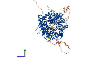 AlphaFold protein structure predicition of Human Recombinant MAN1C1 Protein, UniprotID Q9NR34