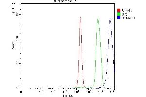 Flow Cytometry analysis of C6 cells using anti-hnRNP U/p120/HNRNPU antibody (ABIN7600979).