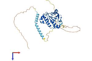 AlphaFold protein structure predicition of Mouse Recombinant Trmt10a Protein, UniprotID Q8C1Z8