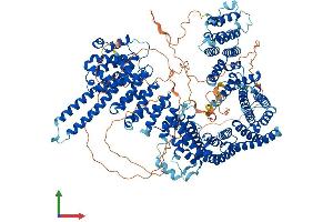 AlphaFold protein structure predicition of Mouse Recombinant Stag1 Protein, UniprotID Q9D3E6