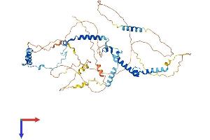 AlphaFold protein structure predicition of Human Recombinant PHACTR1 Protein, UniprotID Q9C0D0