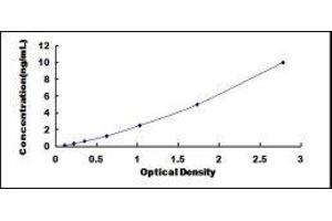 Diaphanous Homolog 1 (DIAPH1) ELISA Kit