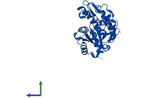 AlphaFold protein structure predicition of Human Recombinant SMUG1 Protein, UniprotID Q53HV7