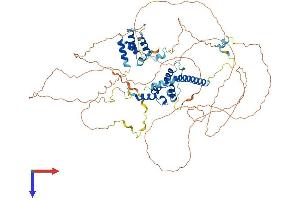 AlphaFold protein structure predicition of Mouse Recombinant Eloa Protein, UniprotID Q8CB77