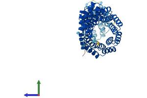 AlphaFold protein structure predicition of Human Recombinant TTC6 Protein, UniprotID Q86TZ1
