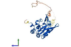 AlphaFold protein structure predicition of Mouse Recombinant Ctdsp1 Protein, UniprotID P58466