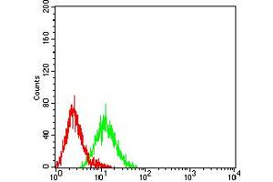 Flow cytometric analysis of HL-60 cells using CD49C mouse mAb (green) and negative control (red).
