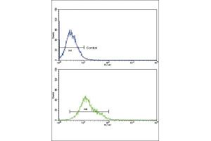 Flow Cytometry (FACS) image for anti-Cytochrome P450, Family 8, Subfamily B, Polypeptide 1 (CYP8B1) antibody (ABIN3003911)