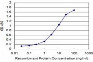 Detection limit for recombinant GST tagged CDC42BPB is approximately 0.