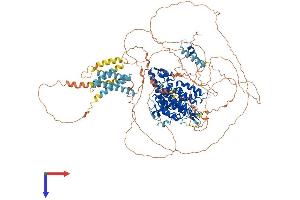 AlphaFold protein structure predicition of Mouse Recombinant Pde3a Protein, UniprotID Q9Z0X4
