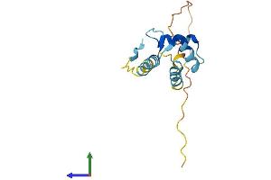 AlphaFold protein structure predicition of Human Recombinant EFCAB8 Protein, UniprotID A8MWE9