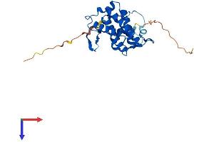 AlphaFold protein structure predicition of Human Recombinant MOB2 Protein, UniprotID Q70IA6