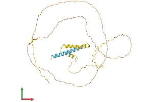 AlphaFold protein structure predicition of Human Recombinant PRRT2 Protein, UniprotID Q7Z6L0