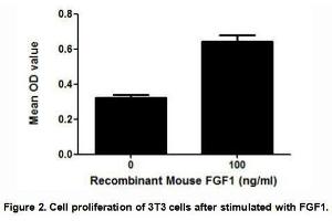 (FGF1) Fibroblast growth factor 1 belongs to the fibroblast growth factor (FGF) family. (FGF1 Protein (AA 16-155) (His tag))