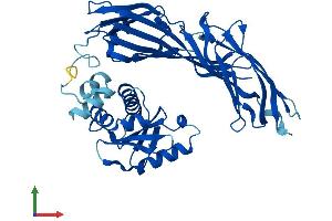 AlphaFold protein structure predicition of Human Recombinant AP3M2 Protein, UniprotID P53677