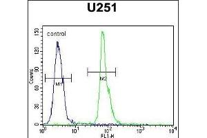 COPZ2 Antibody (C-term) (ABIN651368 and ABIN2840206) flow cytometric analysis of  cells (right histogram) compared to a negative control cell (left histogram).
