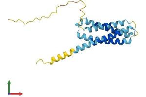 AlphaFold protein structure predicition of Human Recombinant CMTM6 Protein, UniprotID Q9NX76