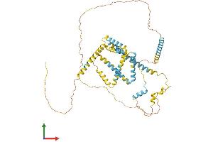 AlphaFold protein structure predicition of Mouse Recombinant Retreg1 Protein, UniprotID Q8VE91