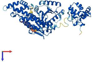 AlphaFold protein structure predicition of Mouse Recombinant Ehd1 Protein, UniprotID Q9WVK4