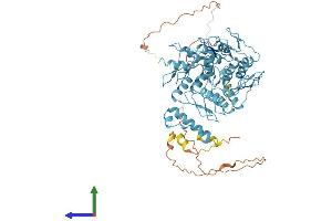 AlphaFold protein structure predicition of Human Recombinant ZNF528 Protein, UniprotID Q3MIS6