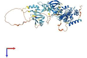 AlphaFold protein structure predicition of Mouse Recombinant Limk1 Protein, UniprotID P53668