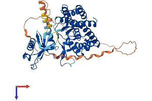 AlphaFold protein structure predicition of Mouse Recombinant Chka Protein, UniprotID O54804